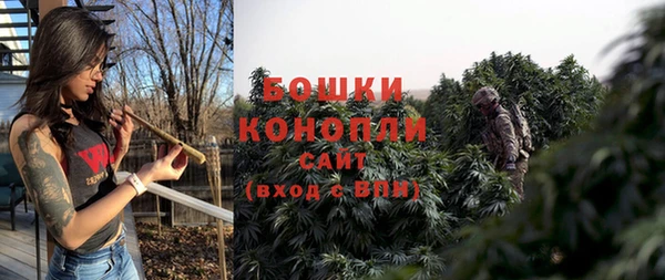 мет Елабуга