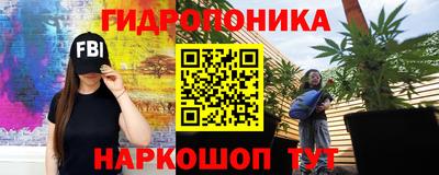 стаф Кинель