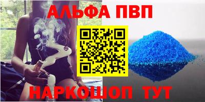 мет Кингисепп