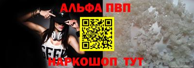 стаф Кинель