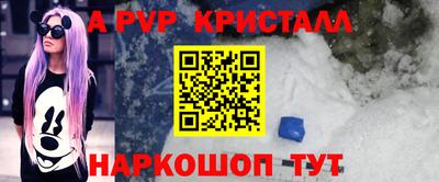 стаф Кинель