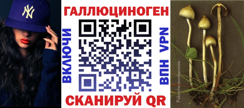 где продают наркотики  Краснокаменск  Галлюциногенные грибы Psilocybe 